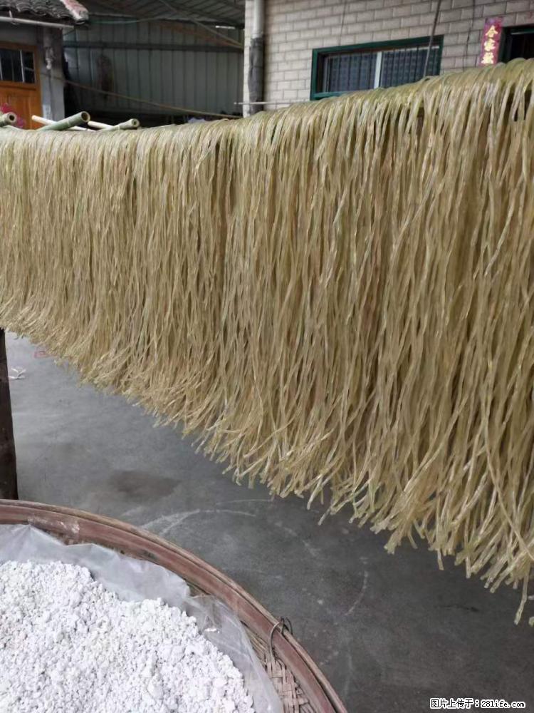 【灌阳正宗红薯粉】美女家里自己做的,干净卫生,假一赔十,价格合理,抢购电话:13737312895 - 美食天地 - 辽阳生活社区 - 辽阳28生活网 liaoyang.28life.com