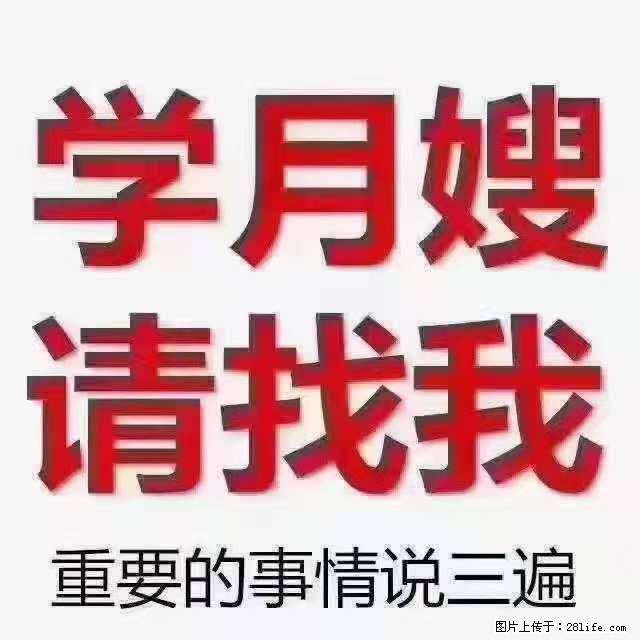 为什么要学习月嫂,育婴师? - 其他广告 - 广告专区 - 辽阳分类信息 - 辽阳28生活网 liaoyang.28life.com