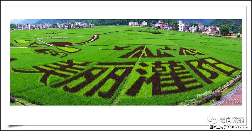 【春天,广西桂林灌阳县向您发出邀请!】开篇 - 游山玩水 - 辽阳生活社区 - 辽阳28生活网 liaoyang.28life.com