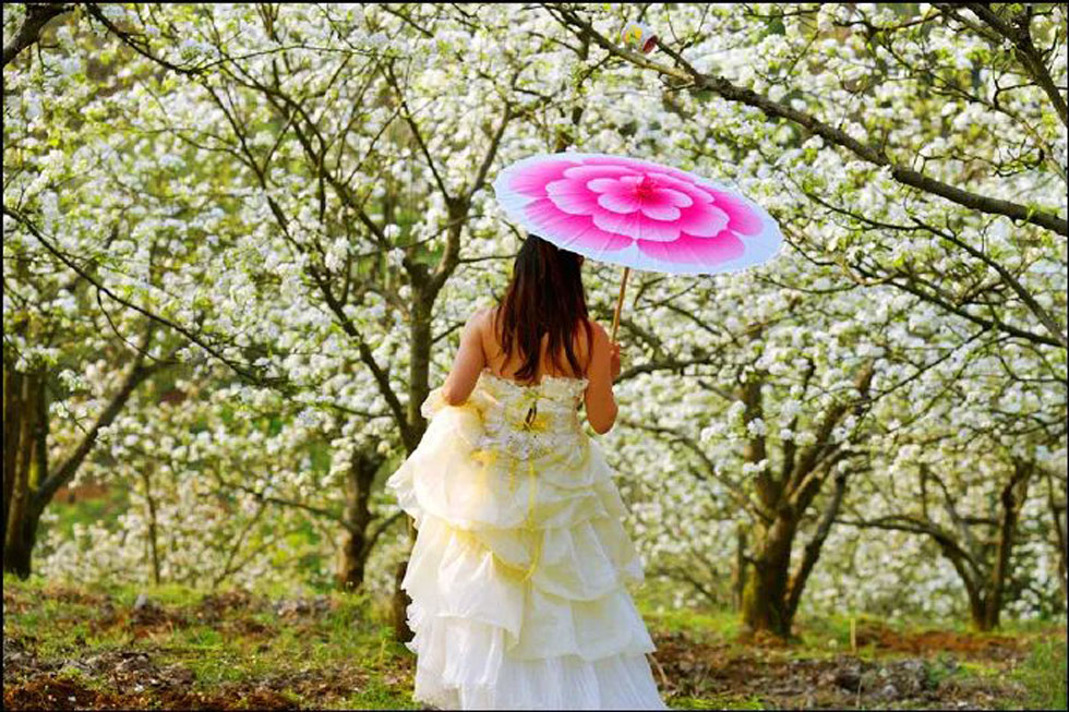 【春天,广西桂林灌阳县向您发出邀请!】我们在灌阳看梨花 - 游山玩水 - 辽阳生活社区 - 辽阳28生活网 liaoyang.28life.com