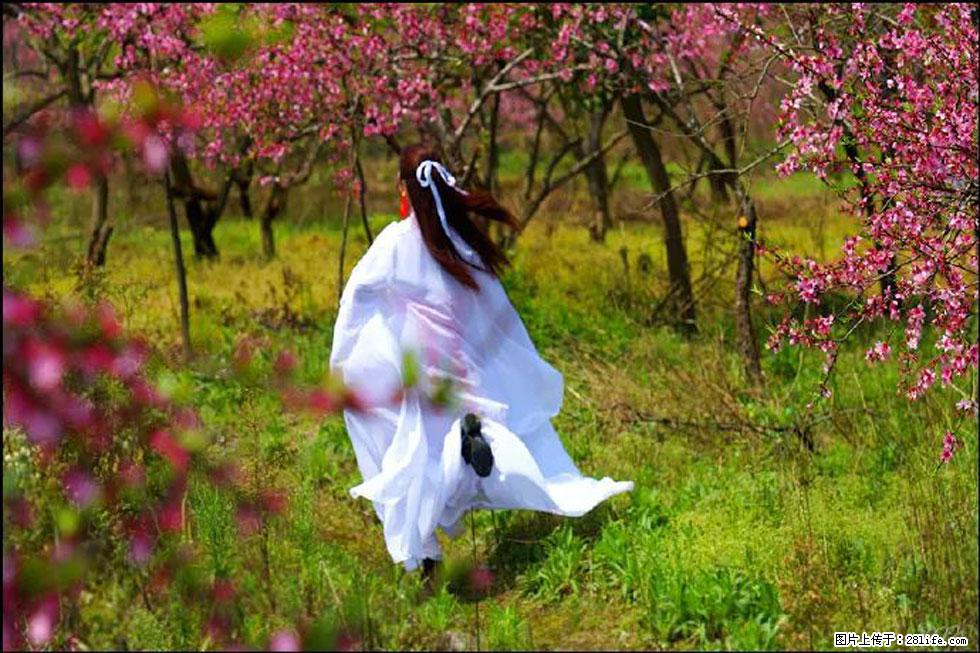 【春天,广西桂林灌阳县向您发出邀请!】官庄村有个醉美的桃花园 - 游山玩水 - 辽阳生活社区 - 辽阳28生活网 liaoyang.28life.com