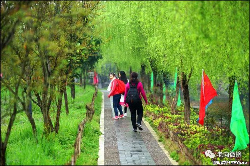 【春天,广西桂林灌阳县向您发出邀请!】江口老街又逢春 - 游山玩水 - 辽阳生活社区 - 辽阳28生活网 liaoyang.28life.com