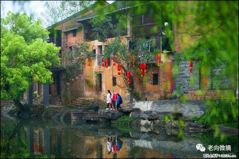 【春天,广西桂林灌阳县向您发出邀请!】江口老街又逢春 - 游山玩水 - 辽阳生活社区 - 辽阳28生活网 liaoyang.28life.com