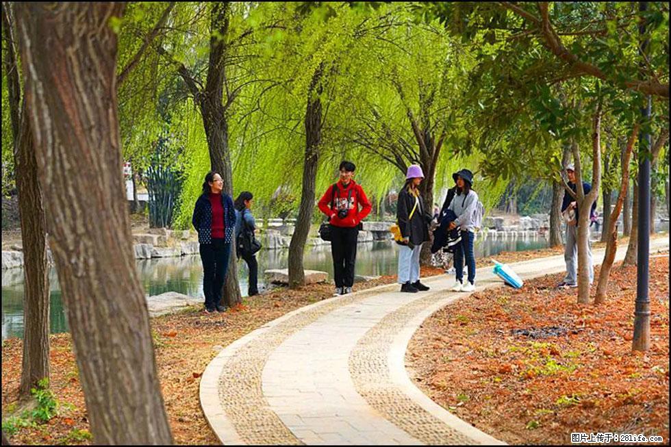 【春天,广西桂林灌阳县向您发出邀请!】江口老街又逢春 - 游山玩水 - 辽阳生活社区 - 辽阳28生活网 liaoyang.28life.com