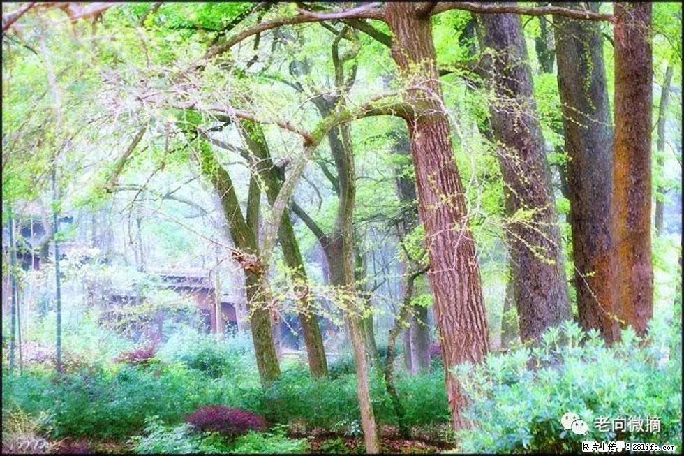 【春天,广西桂林灌阳县向您发出邀请!】在小龙村与春天约会 - 游山玩水 - 辽阳生活社区 - 辽阳28生活网 liaoyang.28life.com