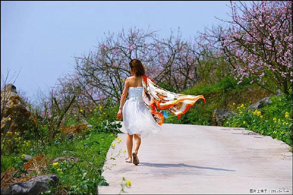 【春天,广西桂林灌阳县向您发出邀请!】望月岭上桃花开 - 游山玩水 - 辽阳生活社区 - 辽阳28生活网 liaoyang.28life.com