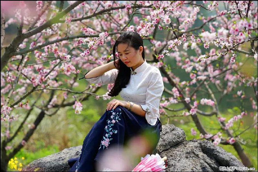 【春天,广西桂林灌阳县向您发出邀请!】望月岭上桃花开 - 游山玩水 - 辽阳生活社区 - 辽阳28生活网 liaoyang.28life.com