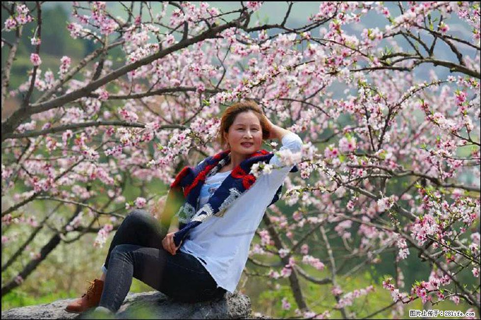 【春天,广西桂林灌阳县向您发出邀请!】望月岭上桃花开 - 游山玩水 - 辽阳生活社区 - 辽阳28生活网 liaoyang.28life.com