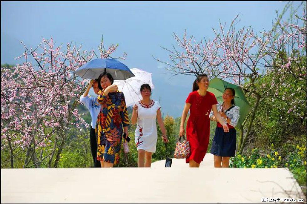 【春天,广西桂林灌阳县向您发出邀请!】望月岭上桃花开 - 游山玩水 - 辽阳生活社区 - 辽阳28生活网 liaoyang.28life.com