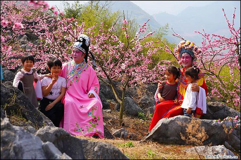 【春天,广西桂林灌阳县向您发出邀请!】望月岭上桃花开 - 游山玩水 - 辽阳生活社区 - 辽阳28生活网 liaoyang.28life.com