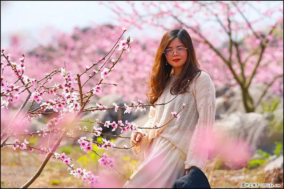 【春天,广西桂林灌阳县向您发出邀请!】望月岭上桃花开 - 游山玩水 - 辽阳生活社区 - 辽阳28生活网 liaoyang.28life.com