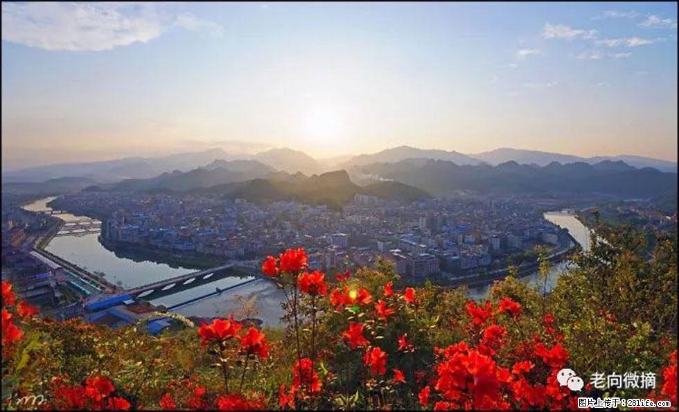 【春天,广西桂林灌阳县向您发出邀请!】登麒麟山,相约映山红 - 游山玩水 - 辽阳生活社区 - 辽阳28生活网 liaoyang.28life.com