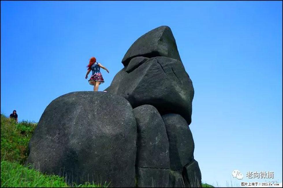 【春天,广西桂林灌阳县向您发出邀请!】宝盖山上映山红 - 游山玩水 - 辽阳生活社区 - 辽阳28生活网 liaoyang.28life.com