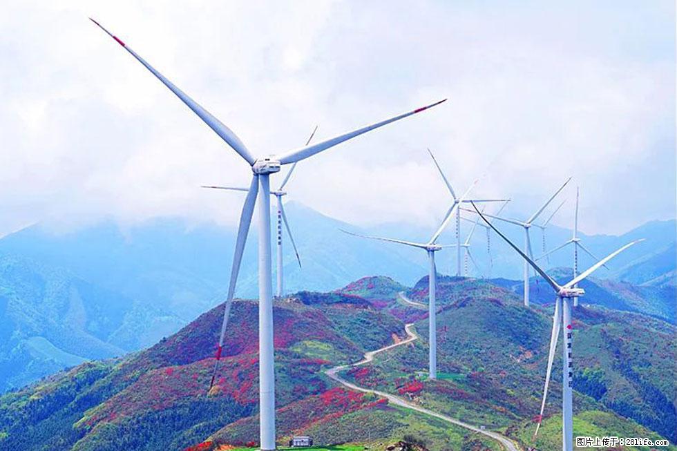 【春天,广西桂林灌阳县向您发出邀请!】春木界上映山红 - 游山玩水 - 辽阳生活社区 - 辽阳28生活网 liaoyang.28life.com