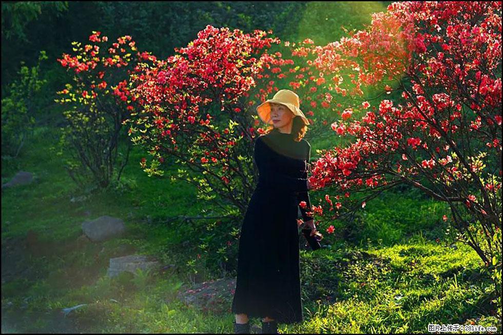 【春天,广西桂林灌阳县向您发出邀请!】春木界上映山红 - 游山玩水 - 辽阳生活社区 - 辽阳28生活网 liaoyang.28life.com