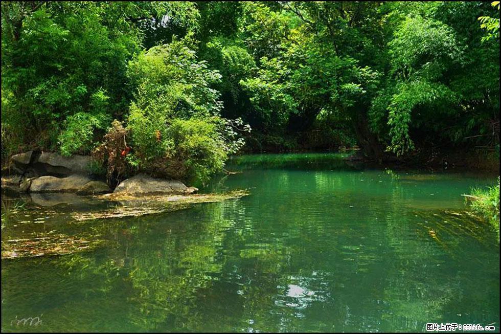 【春天,广西桂林灌阳县向您发出邀请!】如梦似幻莲溪庐 - 游山玩水 - 辽阳生活社区 - 辽阳28生活网 liaoyang.28life.com