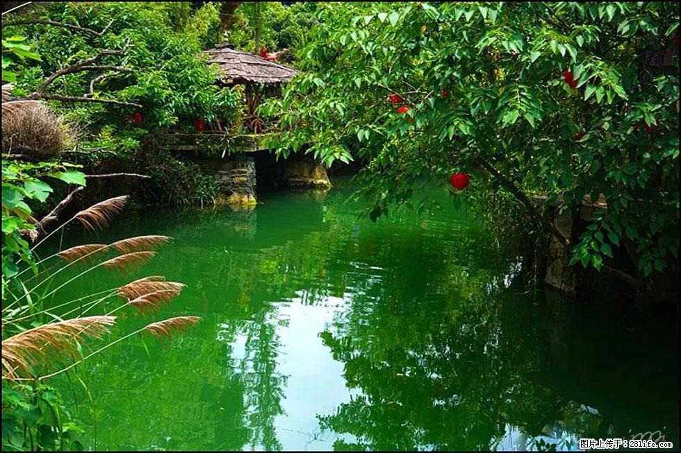 【春天,广西桂林灌阳县向您发出邀请!】如梦似幻莲溪庐 - 游山玩水 - 辽阳生活社区 - 辽阳28生活网 liaoyang.28life.com