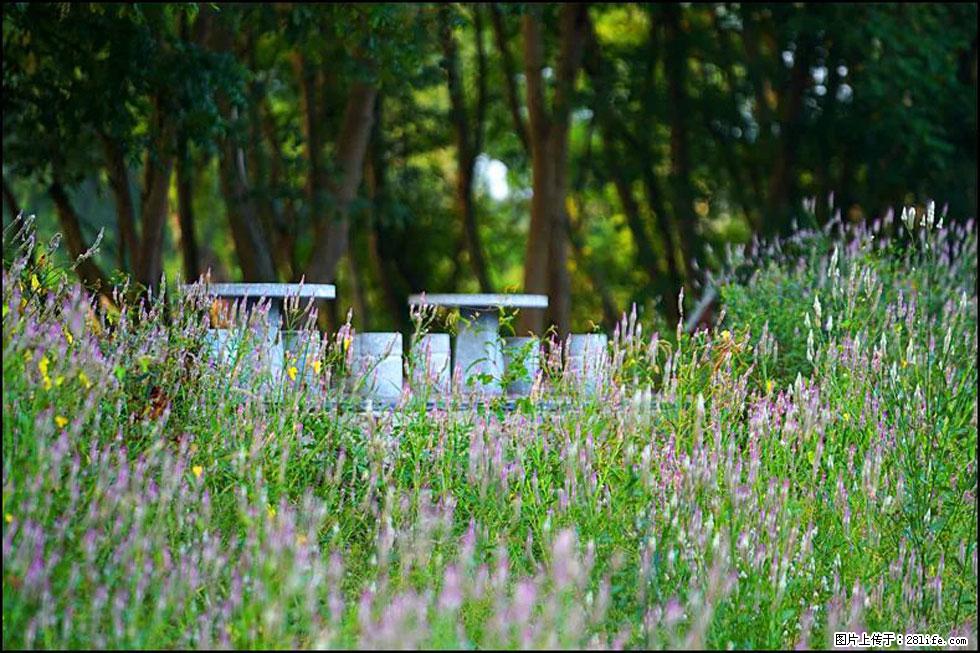 【春天,广西桂林灌阳县向您发出邀请!】熊家寨湿地公园 - 游山玩水 - 辽阳生活社区 - 辽阳28生活网 liaoyang.28life.com