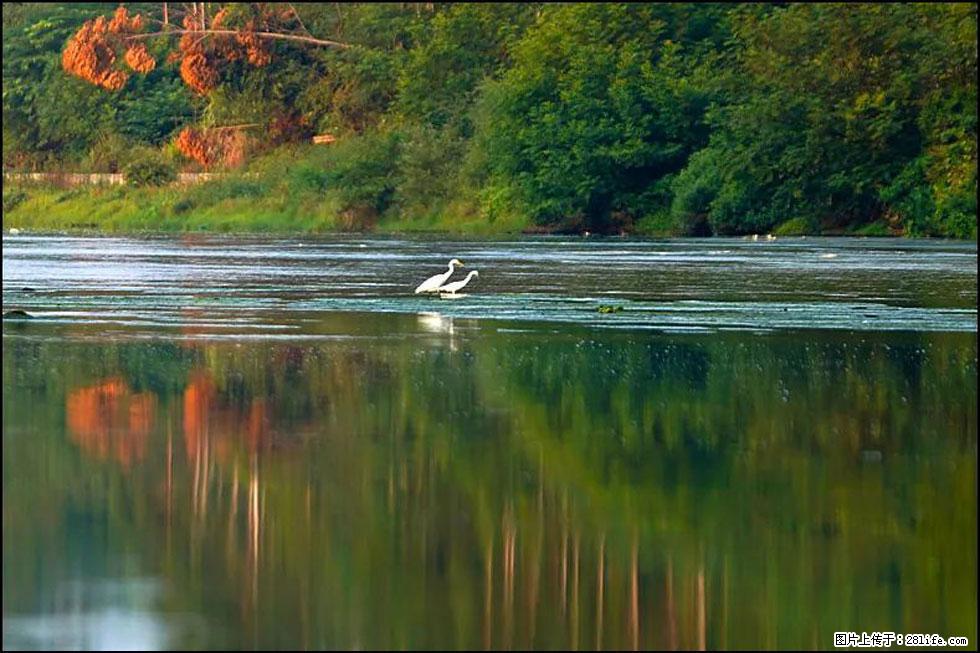 【春天,广西桂林灌阳县向您发出邀请!】熊家寨湿地公园 - 游山玩水 - 辽阳生活社区 - 辽阳28生活网 liaoyang.28life.com