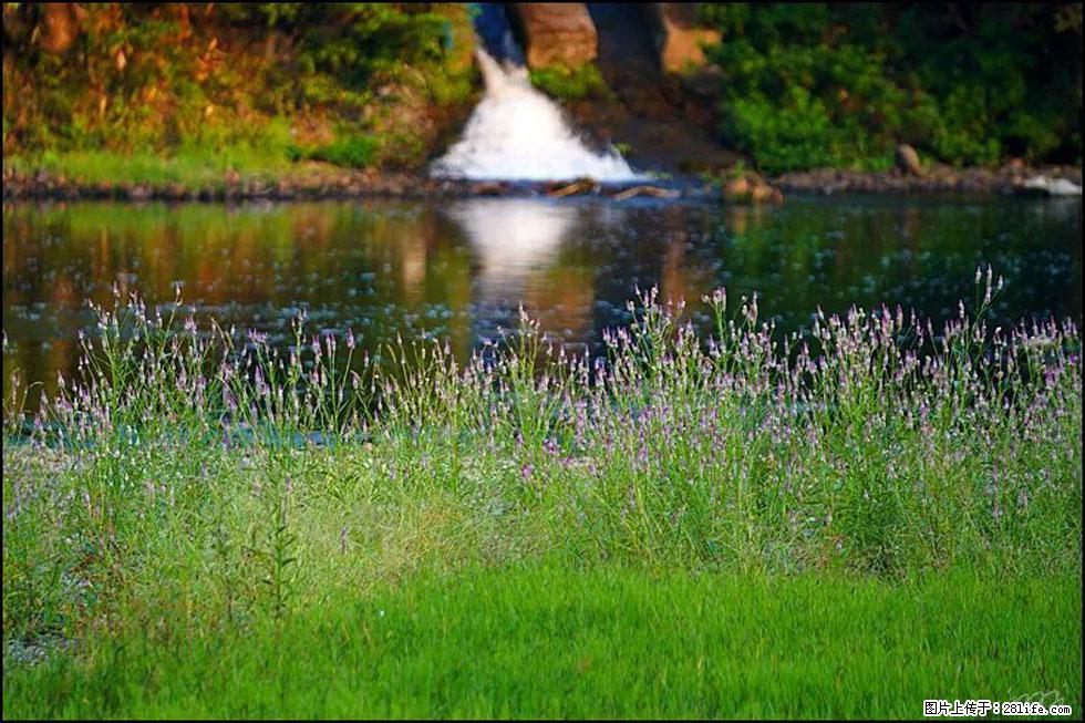 【春天,广西桂林灌阳县向您发出邀请!】熊家寨湿地公园 - 游山玩水 - 辽阳生活社区 - 辽阳28生活网 liaoyang.28life.com