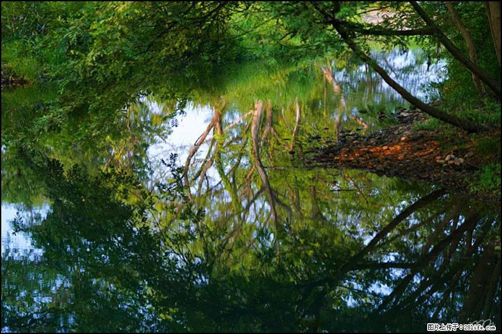 【春天,广西桂林灌阳县向您发出邀请!】熊家寨湿地公园 - 游山玩水 - 辽阳生活社区 - 辽阳28生活网 liaoyang.28life.com