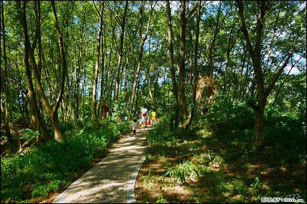 【春天,广西桂林灌阳县向您发出邀请!】熊家寨湿地公园 - 游山玩水 - 辽阳生活社区 - 辽阳28生活网 liaoyang.28life.com