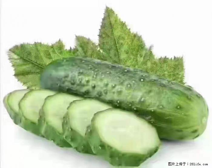 【生活小常识】吃黄瓜的好处 - 生活百科 - 辽阳生活社区 - 辽阳28生活网 liaoyang.28life.com