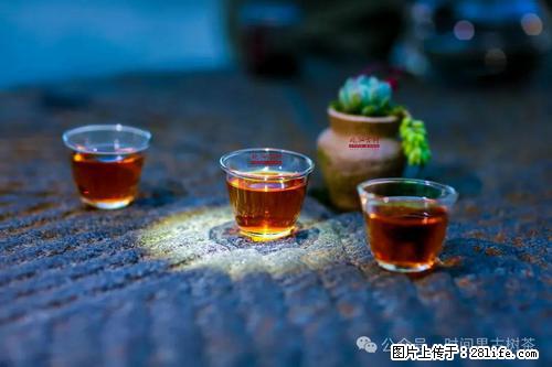 时间果百年古树2025年春红茶 - 购物交流 - 辽阳生活社区 - 辽阳28生活网 liaoyang.28life.com