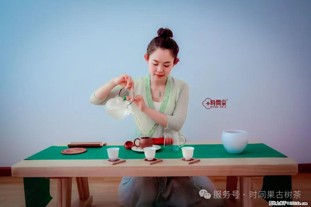 时间果百年古树龙珠普洱生茶 - 购物交流 - 辽阳生活社区 - 辽阳28生活网 liaoyang.28life.com