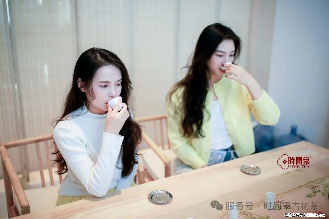 时间果百年古树龙珠普洱生茶 - 购物交流 - 辽阳生活社区 - 辽阳28生活网 liaoyang.28life.com