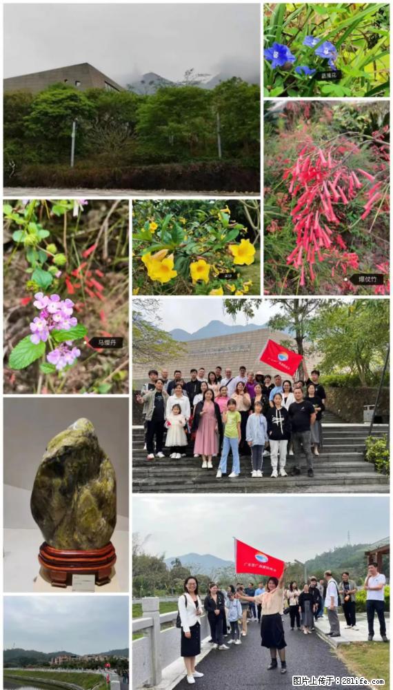 “粤灌文化 美好生活”油茶文化主题活动在广东深圳成功举办 - 辽阳生活资讯 - 辽阳28生活网 liaoyang.28life.com