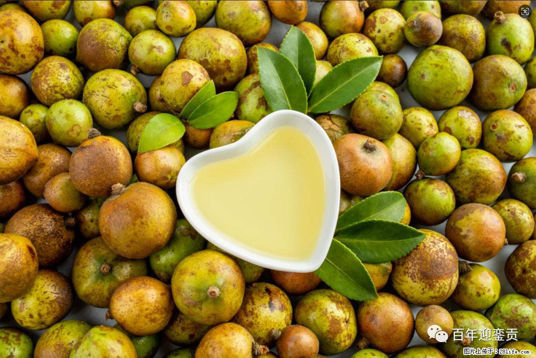 世界没有真相,只有认知,最好的食用油是中国的山茶油! - 辽阳生活资讯 - 辽阳28生活网 liaoyang.28life.com