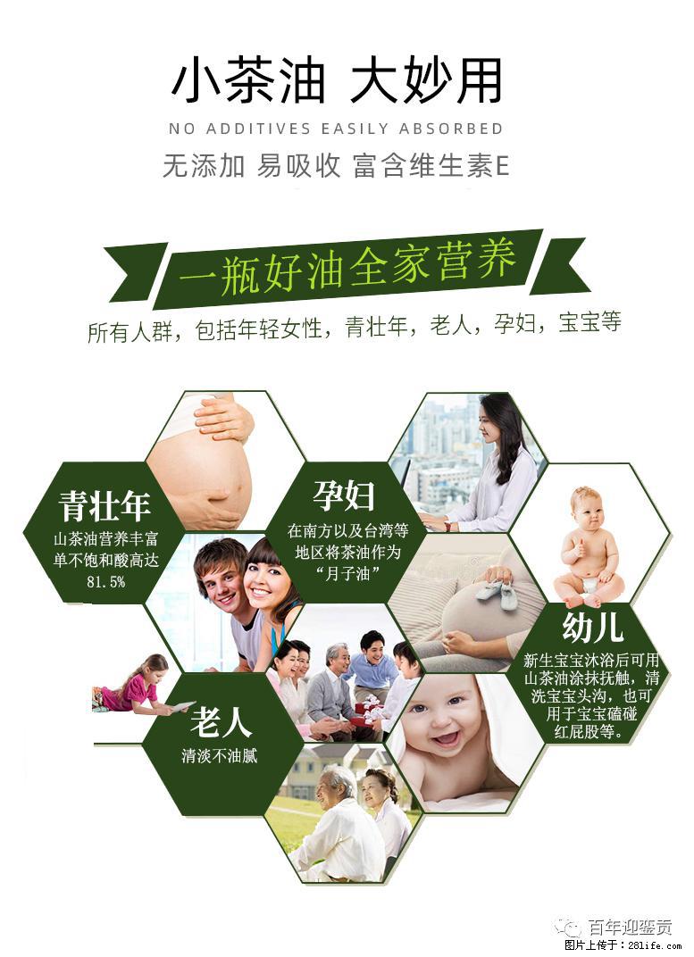 世界没有真相,只有认知,最好的食用油是中国的山茶油! - 辽阳生活资讯 - 辽阳28生活网 liaoyang.28life.com