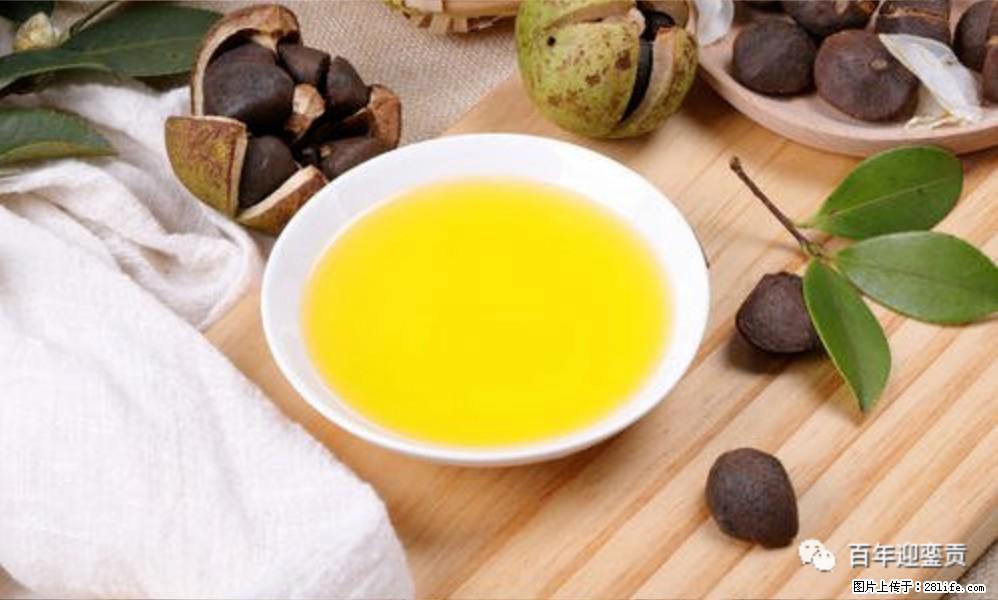 世界没有真相,只有认知,最好的食用油是中国的山茶油! - 辽阳生活资讯 - 辽阳28生活网 liaoyang.28life.com