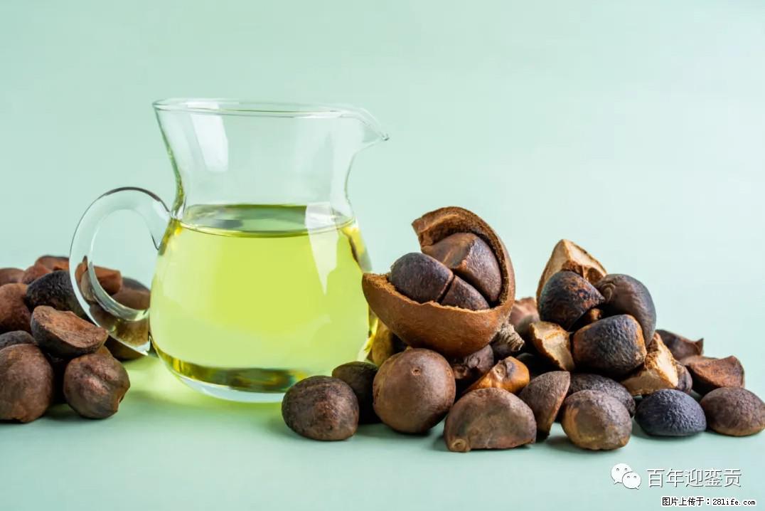 世界没有真相，只有认知，最好的食用油是中国的山茶油！ - 辽阳生活资讯 - 辽阳28生活网 liaoyang.28life.com