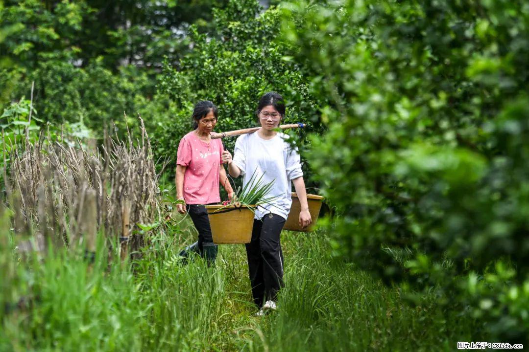 全网追的“扁担女孩”，找了一份暑假工，时薪12元 - 辽阳生活资讯 - 辽阳28生活网 liaoyang.28life.com