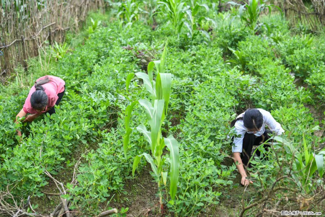 全网追的“扁担女孩”，找了一份暑假工，时薪12元 - 辽阳生活资讯 - 辽阳28生活网 liaoyang.28life.com
