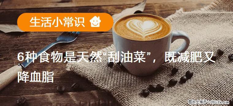 【生活小常识】6种食物是天然“刮油菜”，既减肥又降血脂 - 辽阳生活资讯 - 辽阳28生活网 liaoyang.28life.com