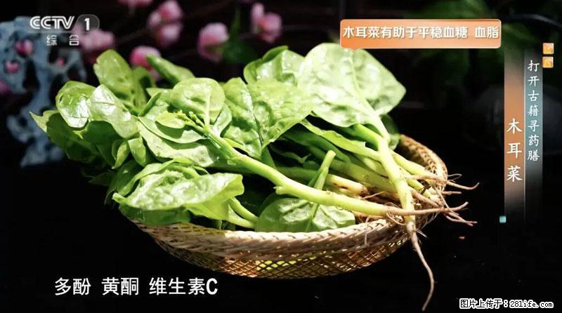 比牛奶补钙还厉害！凉血解毒、稳血糖...这菜冬天必吃，很多人却当草 - 辽阳生活资讯 - 辽阳28生活网 liaoyang.28life.com