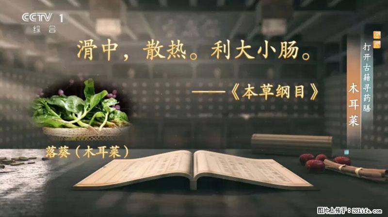 比牛奶补钙还厉害！凉血解毒、稳血糖...这菜冬天必吃，很多人却当草 - 辽阳生活资讯 - 辽阳28生活网 liaoyang.28life.com