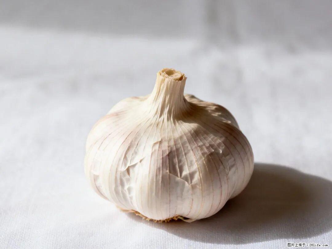 关于大蒜，除了“天然抗生素”，这4个谣言更该警惕! - 辽阳生活资讯 - 辽阳28生活网 liaoyang.28life.com