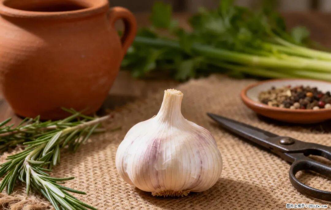 关于大蒜，除了“天然抗生素”，这4个谣言更该警惕! - 辽阳生活资讯 - 辽阳28生活网 liaoyang.28life.com