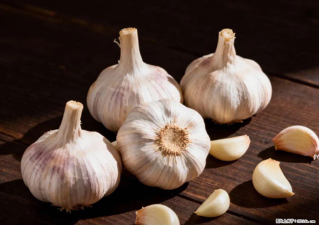 关于大蒜，除了“天然抗生素”，这4个谣言更该警惕! - 辽阳生活资讯 - 辽阳28生活网 liaoyang.28life.com