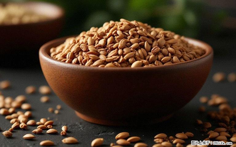 这三苦是三高“克星”，心血管干净不易堵！每天吃一点，指标慢慢降下来~ - 辽阳生活资讯 - 辽阳28生活网 liaoyang.28life.com