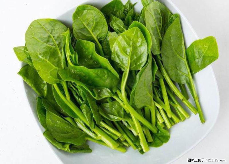 这些蔬菜是“天然钙片”，这6种被医生重点推荐 - 辽阳生活资讯 - 辽阳28生活网 liaoyang.28life.com