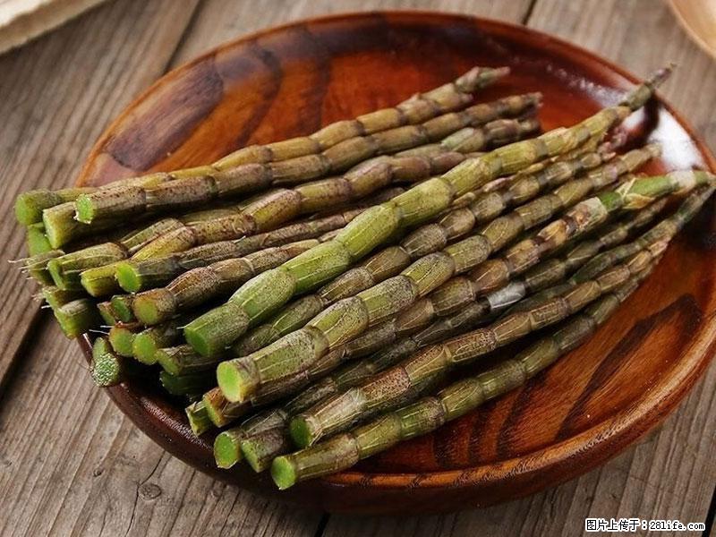 铁皮石斛的作用与功能主治 - 辽阳生活资讯 - 辽阳28生活网 liaoyang.28life.com