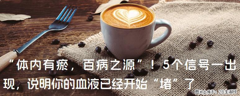 “体内有瘀,百病之源”!5个信号一出现,说明你的血液已经开始“堵”了 - 辽阳生活资讯 - 辽阳28生活网 liaoyang.28life.com